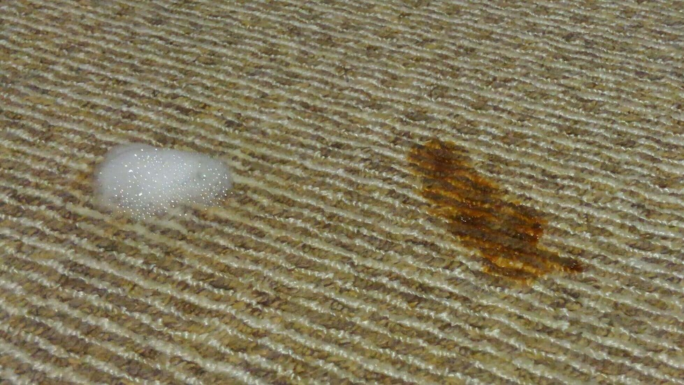 ウタマロクリーナーで絨毯の汚れを落とす