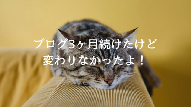 ブログ3ヶ月