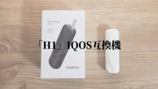 CIGRIG H1レビュー