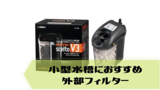 小型水槽におすすめの外部フィルター