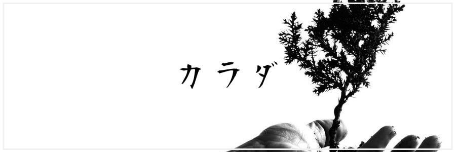 カラダの記事一覧