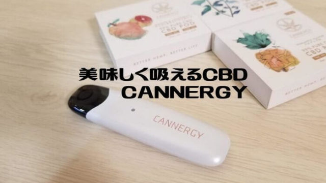 CANNERGY CG1レビュー