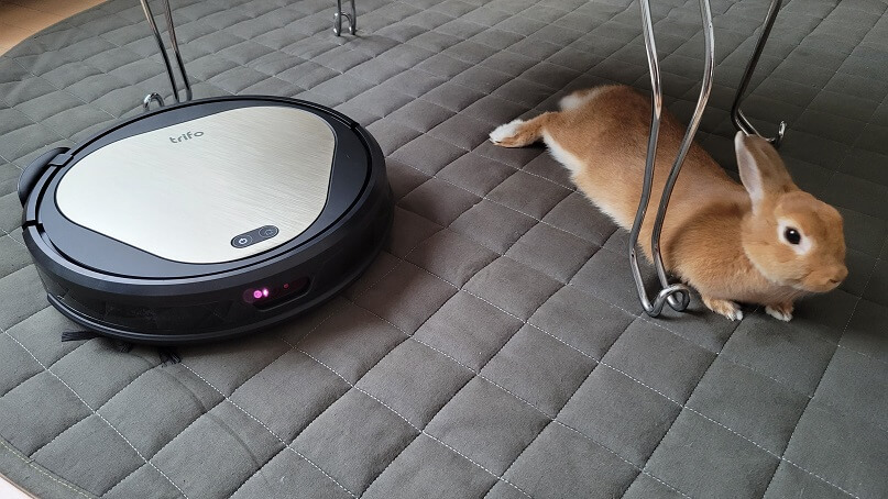 Trifo Ollieレビュー｜ペットのいる暮らしにおすすめのロボット掃除機 