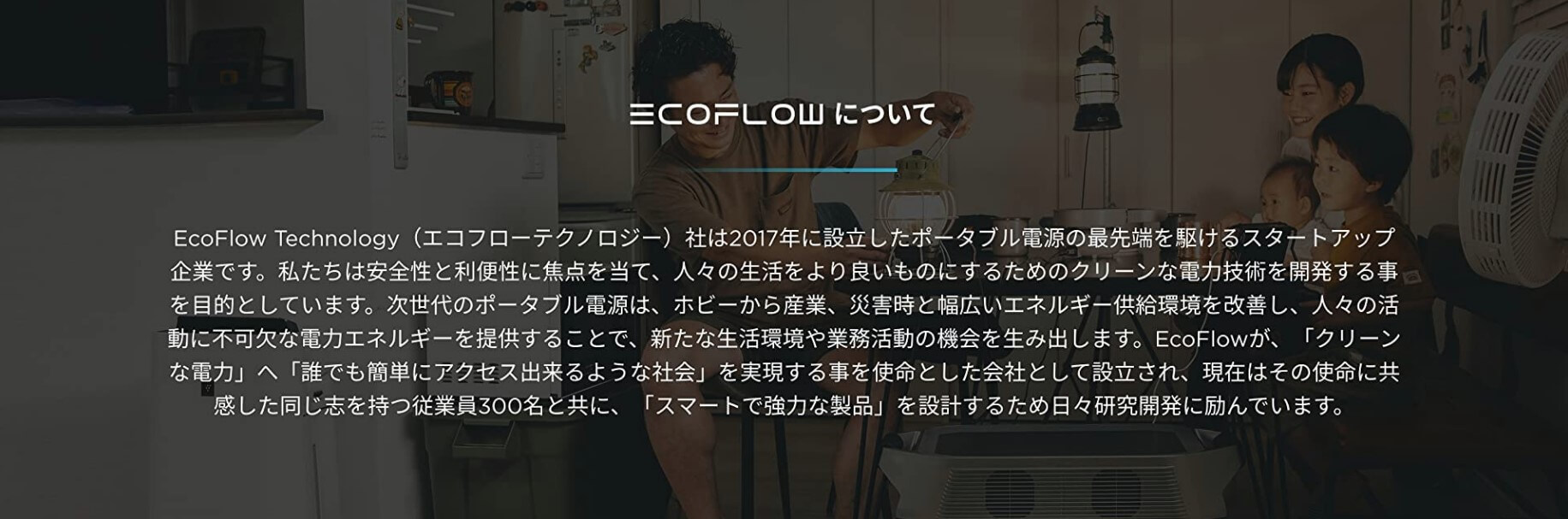 EcoFlowとは