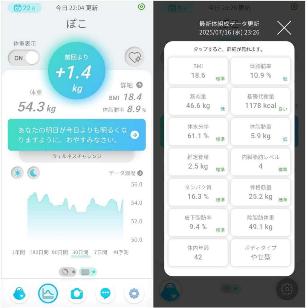専用アプリ「ウェリー」