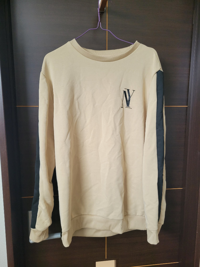 airmorn one 吸着式衣類スチーマー